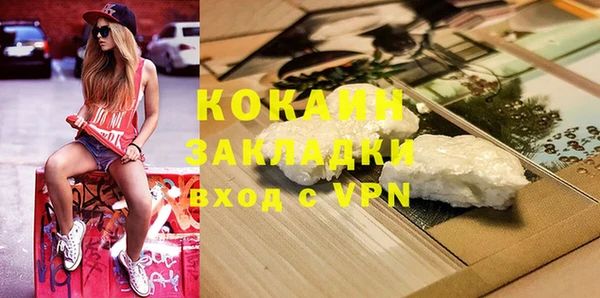 гидра Яровое