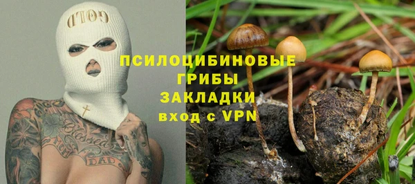 твердый Яранск