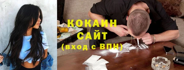 гидра Яровое
