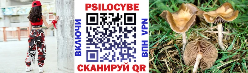 Купить закладки  Костерёво  Псилоцибиновые грибы GOLDEN TEACHER 